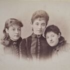 Victorian Photo Cabinet Card Beautiful Lady Group Hair Fashion Reston Stretford 
