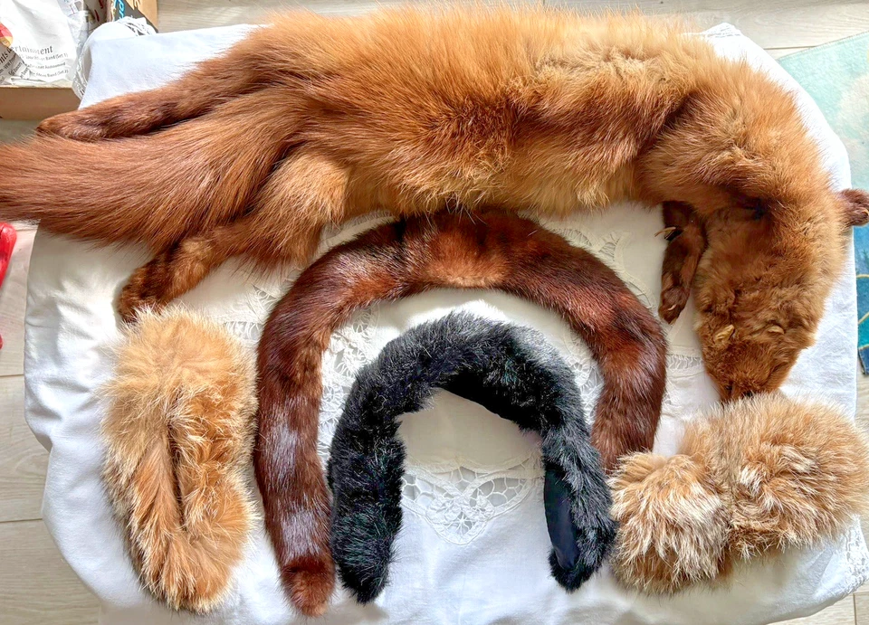 PIELES VINTAGE Foto 1 de 4