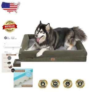 Large Dark Green Dog Bed with Non-Slip Bottom & Removable Cover - Cozy Comfort - Picture 1 of 9