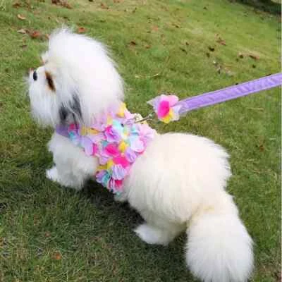 Dog Harness w/ Matching Purple Leash 3D Flower Size Small (S) NEW! - Image 1 of 4