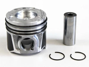 Piston with Rings for Tata Indica 1.3 CRDi 16v - 169A1.000 - Picture 1 of 1
