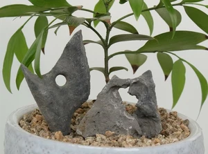 natural Viewing stone suiseki-scholar rock Ying stone Rough Decor 2pcs set J231 - Picture 1 of 3