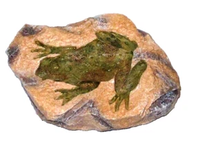Frosch 'Fossil Rock' Polyresin Schreibtisch Ornament / Briefbeschwerer handbemalt. - Bild 1 von 3