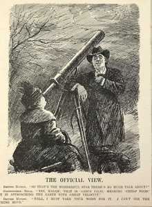 LA VISTA OFICIAL Matrón Británico y Gastrónomo Real 1921 Punch impresión de dibujos animados - Imagen 1 de 3