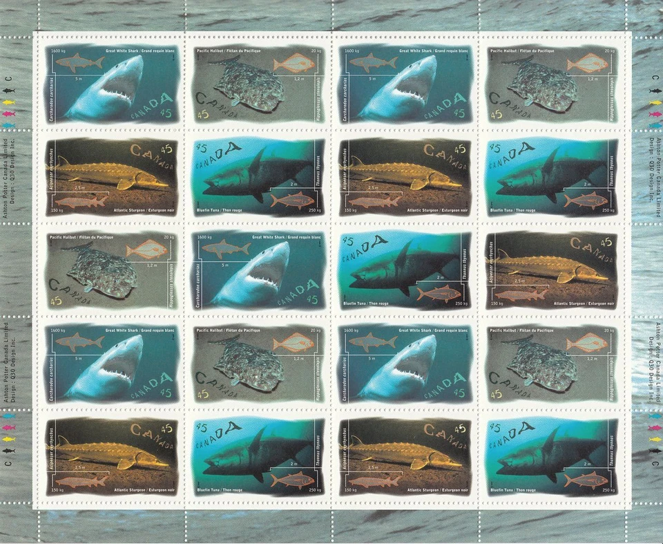 SHARK, HALIBUT, TUNA, STURGEON = Philatelic stock Sheet = Canada 1997 #1644a MNH Foto 1 de 2