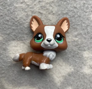 Littlest Pet Shop LPS #2150 braun weiß Corgi grüne Augen - Bild 1 von 3