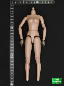 Mini Times M017 escala 1:6 US Navy Seal HALO HEMBRA - Cuerpo (SIN CABEZA NI PIES - Imagen 1 de 3