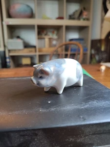 Ceramic Pig - Picture 1 of 10