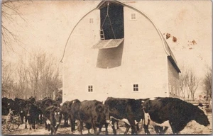 c1910s RPPC Real Photo Postcard FARM SCENE Barn & Cows "Algona, Iowa" Studio - Picture 1 of 2