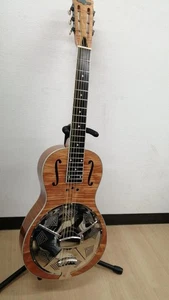 Delta Express Tg-Parlor Resonator Guitar - Picture 1 of 9