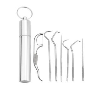 8pcs Portable Stainless Steel Metal Toothpick Bag Set Reusable with Hold,xp