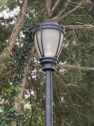 Vintage Black Luminaire Street Light & Pole Lamp, LED NYC, Can Ship Cover
