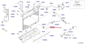 Tubo radiatore inferiore NISSAN X-TRAIL T32 215034BE0A NUOVO ORIGINALE - Foto 1 di 2