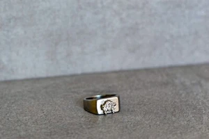 Medusa Titanium Steel Signet Ring – Bold, Durable & Timeless Statement Piece - Picture 1 of 6
