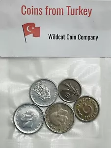 Turkey Coins - 5 Random Coins - Free Shipping - Picture 1 of 4