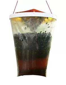 Trampa para moscas Redtop original (trampa única), transparente - Imagen 1 de 3