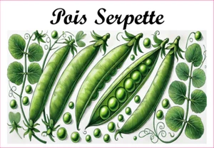 Pois Serpette 12 sticker vinyl conserve fruit légume confiture fait maison - Picture 1 of 13