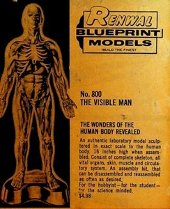 Renwal Bauplan Modelle Prospekt 60er Jahre Sichtmann Teracruzer Marine Schiffe - Bild 1 von 3