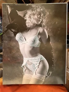 Woman Blue lingerie hot Sexy girl man cave garage vintage Poster Auto Shop 28x22 - Picture 1 of 6