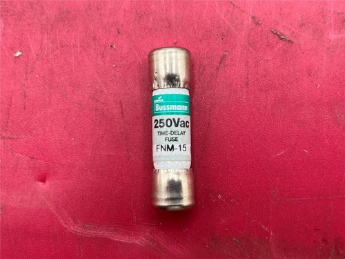 Boîte De 10 Fusibles Bussmann FNM-15 15A 250V – Temporisés (time Delay), Neufs