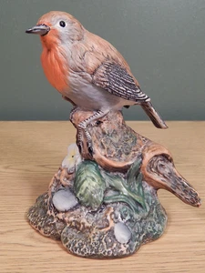 Royal Doulton Garden Birds Collection Da-2 Robin 1989 - Imagen 1 de 12