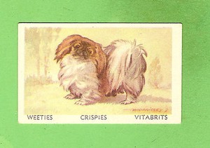 1949 FAVOURITE DOG CARD #3  PEKINESE