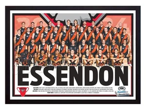 Póster de fútbol americano Essendon Bombers AFL 2024 enmarcado - 45 cm x 32 cm x 3 cm - Imagen 1 de 4