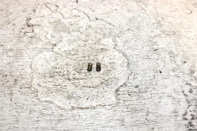 1995 Arctic Cat Z 440 Oem 空气/燃料螺丝弹簧对 6505-020 SA13 — 第 1/4 张图片