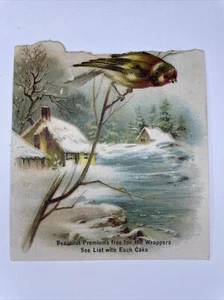 Queen Anne Seife Sammelkarte Vögel Schnee Winter Werbung Detroit P2 - Bild 1 von 2