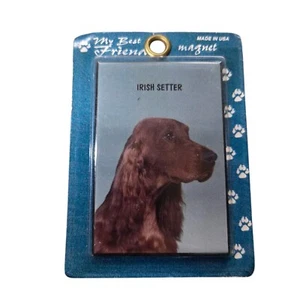 Vintage Swibco 1994 Irish Setter Hund Kühlschrankmagnet Neu - Bild 1 von 2