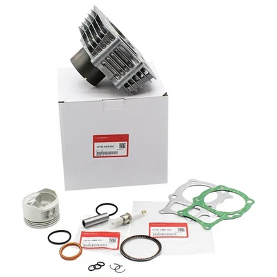 Top End Rebuild Kit Cylinder OEM For Honda Recon 250 TRX 250 97-20 12100-HN6-000 Foto 1 de 4