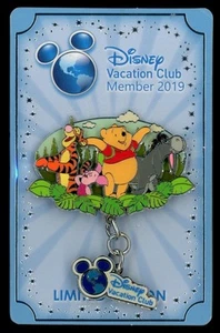 Prendedor DVC Vacation Club 2019 Pooh and Friends Disney 138951 - Imagen 1 de 1