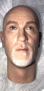 DID Dragon in Dreams 1/6th WWII German Communications Drud - Head - Picture 1 of 1