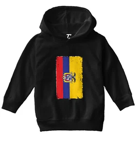 Distressed Ecuador Flag - Ecuadorian Country Pride Toddler/Youth Hoodie - Picture 1 of 12