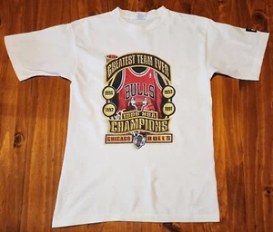 Vintage Chicago Bulls Tee Youth XL Men's Small Medium Air Jordan 90s Nba 1996 - Picture 1 of 9