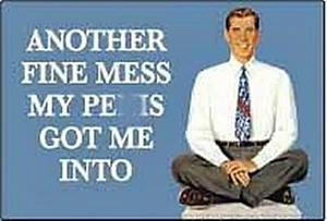 Another Fine Mess My Pe*is..... funny fridge magnet - Picture 1 of 1