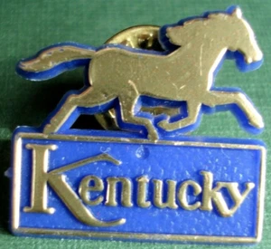 Vtg Kentucky Race Horse Racing Plastic Lapel Hat Pin Pinback WOW! - Picture 1 of 3