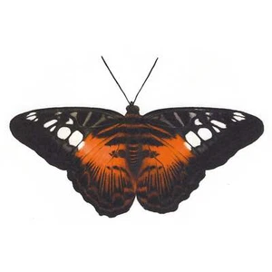 Spotted Tiger Butterfly Select-A-Size Overglaze Waterslide Ceramic Decals - Picture 1 of 5