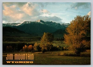 Jim Mountain Wyoming Wapiti Valley Cody Road to Yellowstone Unused Postcard - Imagen 1 de 2