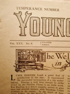 1916 David C Cook YOUNG PEOPLE'S WEEKLY Antique Temperance Weekly News Religion - Bild 1 von 11