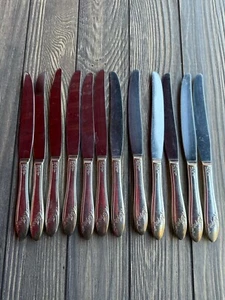 Set Of 12 Tudor Stainless Steel Floral Handle Butter Knives Vintage Flatware - Picture 1 of 6