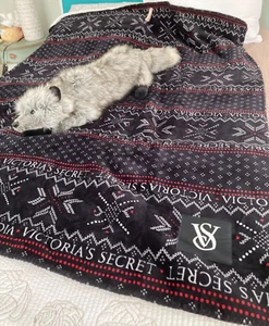 !SALE! Victorias Secret Plush Sherpa Cozy Fleece Blanket Throw 2023 - Picture 1 of 5