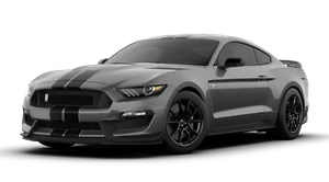 2019 Ford Mustang Shelby Cobra GT350 Garage METAL SIGN 23x10 Magnetic Gray Black - Bild 1 von 10