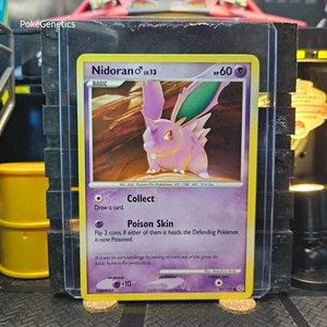 Nidoran M Secret Wonders Pokémon TCG 97/132 Diamond & Pearl Common - Picture 1 of 6