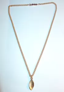 COLLAR ALEMANIA VINTAGE DORADO CON UNA CADENA BRILLANTE DE 16 PULGADAS Y UN COLGANTE DE HOJA - Imagen 1 de 5