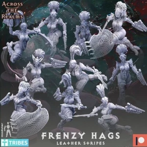 Frenzy Hag Builder x20 Modelle | Across the Realms | 32mm | Wargaming | Grimdark - Bild 1 von 8