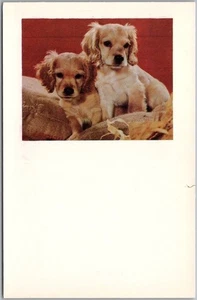 Vintage ANIMAL / Dog Greetings Postcard Spaniel? Puppies c1950s Unused - Picture 1 of 2