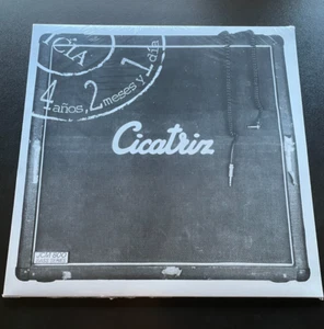 Cicatriz 4 Años, 2 Meses Y 1 Dia Disco de vinilo LP punk eskorbuto vulpess kort - Imagen 1 de 2