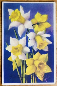 Postal de felicitaciones en narcisos holandeses alrededor de 1909 sin usar - Imagen 1 de 1