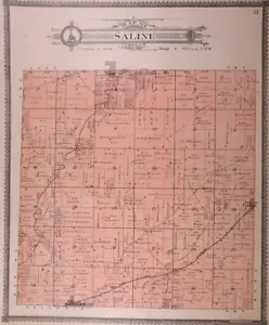 Old 1910 Plat Map ~ SALINE Township, MADISON County, ILLINOIS ~ Free S&H - Picture 1 of 2